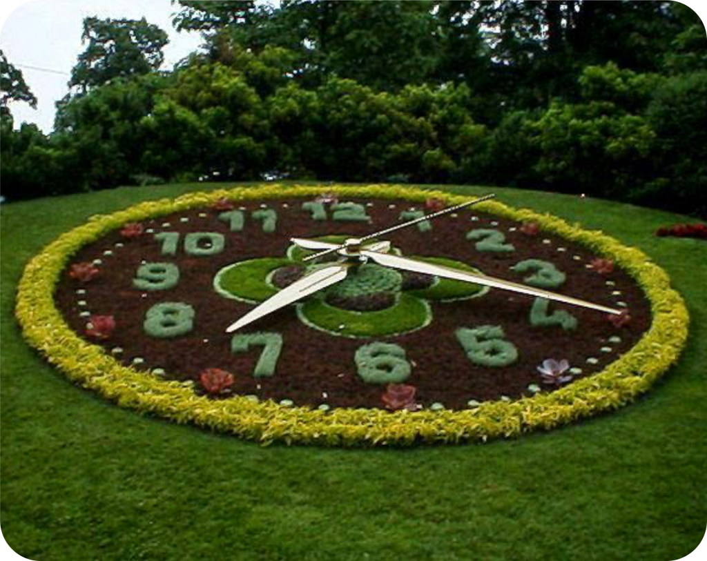 Цветочные часы растений. Швейцария Женева цветочные часы. Город Упсала в Швеции цветочные часы.