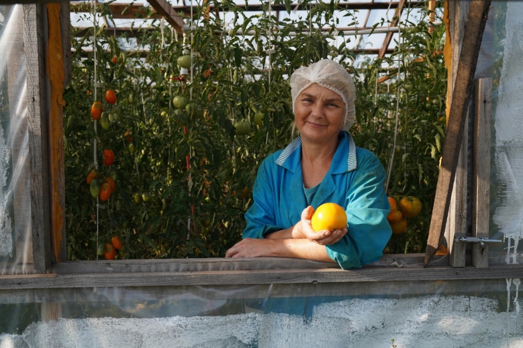 Елена Храмушина и мичурин томаты