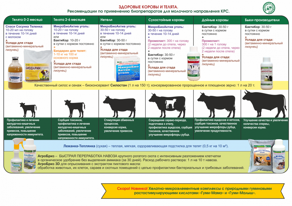 Бизнес план для корма для животных