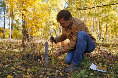 Отчёт о проведении опытов по испытанию биопрепаратов производства НВП БашИнком при высадке посадочного материала лесных культур на постоянное место произрастания